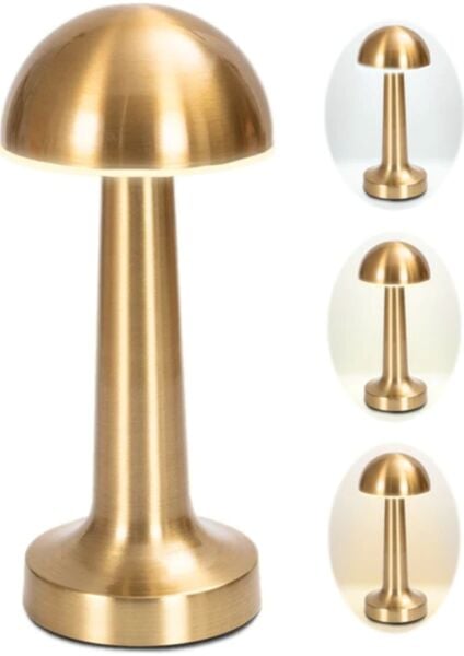 NOAS ATİNA ŞARJLI GOLD MASA LAMBASI  3 RENK